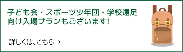 子ども会・スポーツ少年団・学校遠足向け入場プランもございます！