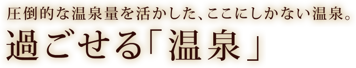 圧倒的な温泉量を活かした、ここにしかない温泉。過ごせる「温泉」